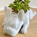 French Bulldog desk planter with succulents, made from resin, featuring drainage hole for healthy plant growth on wooden surface.