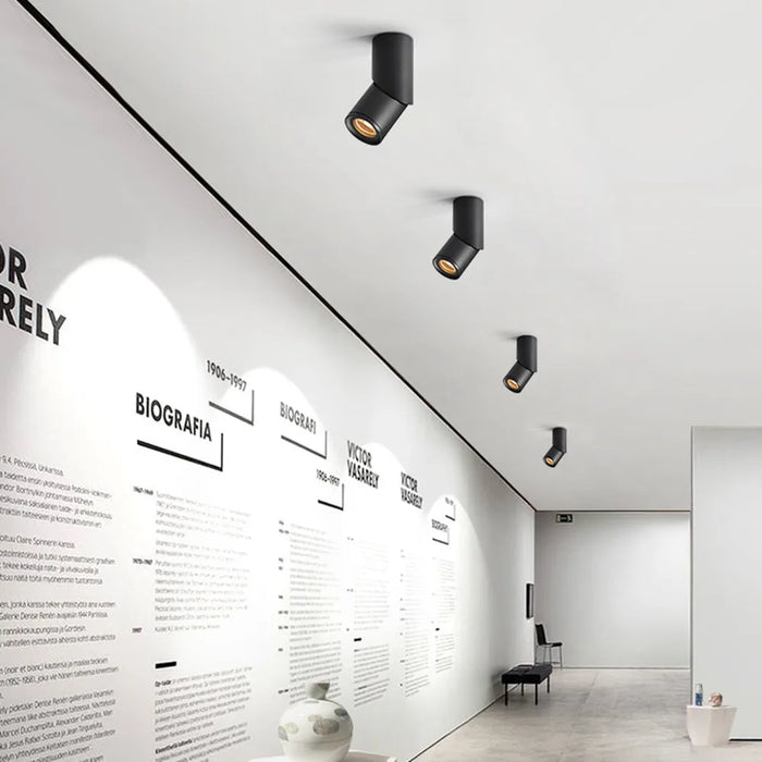 Modern gallery with 360-degree rotatable downlights illuminating artworks, featuring sleek black aluminum fixtures on a white ceiling.