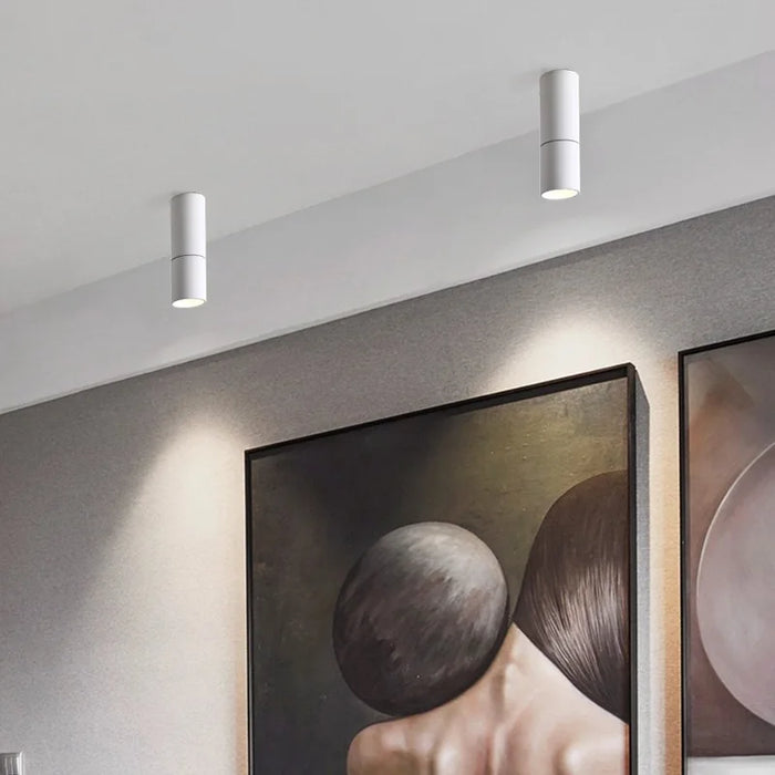 Modern LED foldable spotlight illuminating artwork in a foyer setting.