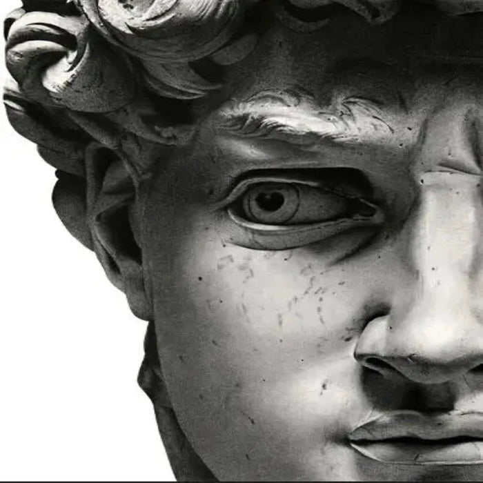 Close-up of Michelangelo's David sculpture on a black and white canvas art print, showcasing intricate detail and timeless elegance.