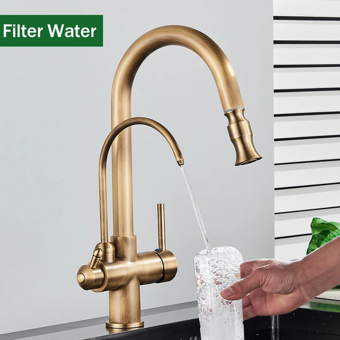 Antique Style 2-in-1 Brass Kitchen Faucet - HomeComfort365