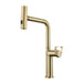 Brushed gold pull-out kitchen faucet with Raindance waterfall feature and durable brass construction.