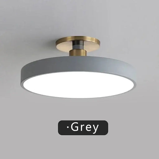 Grey Modern Macaron LED Ceiling Light with Brass Mount for Elegant Home Decor