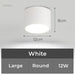 White round LED ceiling downlight, large size, 12W, 8cm height, 12cm diameter.