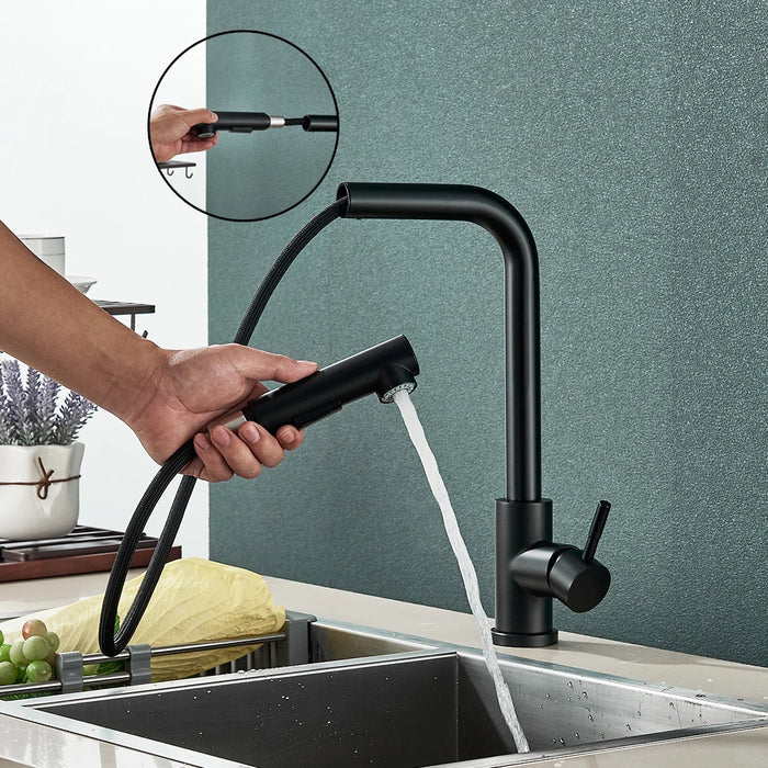 Sleek black pull-out kitchen faucet with sprayer in modern kitchen setting.