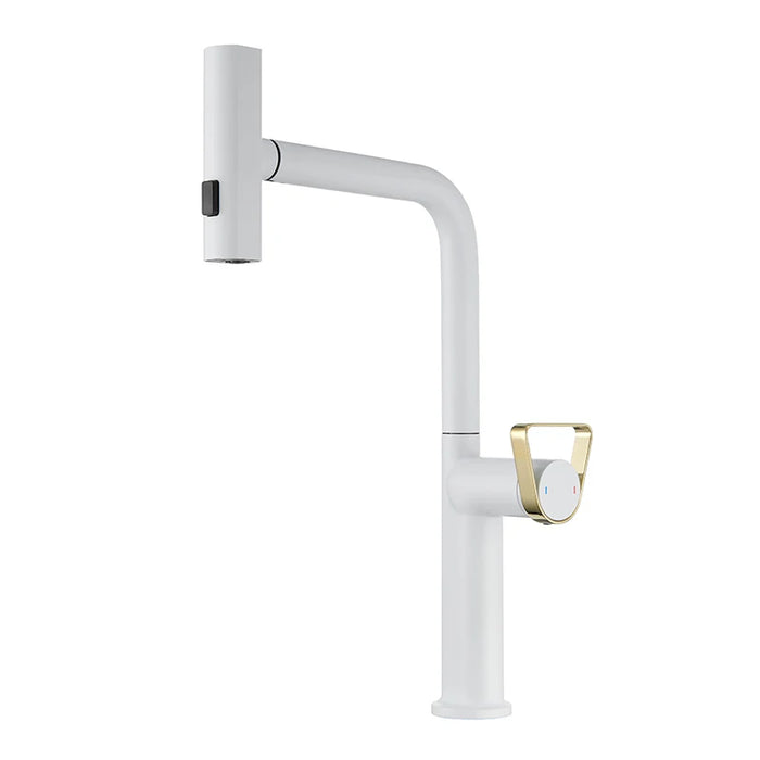 Brushed gold pull-out kitchen faucet with retractable spout and Raindance waterfall feature for luxury and flexibility.