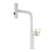 Brushed gold pull-out kitchen faucet with retractable spout and Raindance waterfall feature for luxury and flexibility.