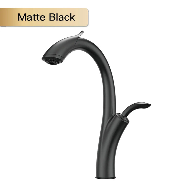 Matte black pull-out kitchen faucet with sleek design and single-handle operation, perfect for modern kitchens.