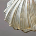 Elegant patterned glass shell pendant light with electroplated finish, showcasing detailed craftsmanship and warm glow.