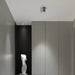 Nickel LED double lens ceiling light in a modern room setting, enhancing ambient lighting with superior color accuracy.