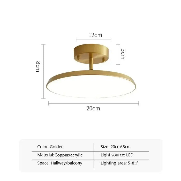 Golden Modern Rotatable LED Ceiling Light with minimalist design, ideal for hallways and balconies, 20cm size, 5-8㎡ lighting area.